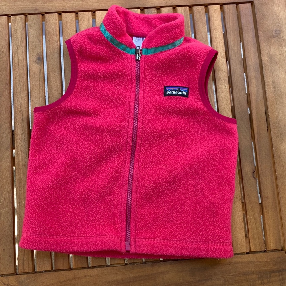 Patagonia Synchilla Vest